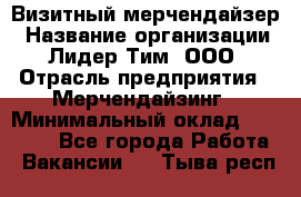 Визитный мерчендайзер › Название организации ­ Лидер Тим, ООО › Отрасль предприятия ­ Мерчендайзинг › Минимальный оклад ­ 18 000 - Все города Работа » Вакансии   . Тыва респ.